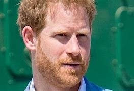 Image result for Prince Harry Has a Son