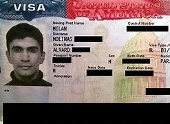 Image result for Work Visa for USA