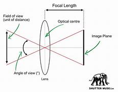 Image result for Optical 180 Degrees