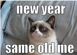 Image result for Happy Mew Year Meme