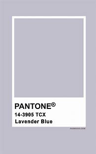 Image result for Lavender Pantone