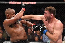 Image result for UFC Heavyweight Champion