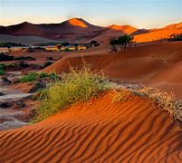 Image result for Namibia Desert Africa