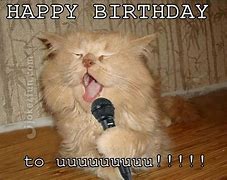 Image result for Woman Yelling at Cat Meme Happy Birthday Card