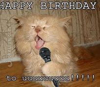 Image result for Cat Lady Birthday Meme