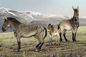 Image result for Ancient Horse Breeds Calendar