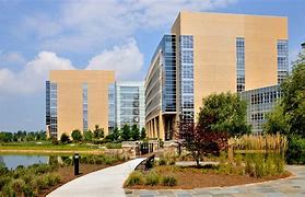 Image result for Lowes Head Office