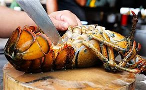 Image result for Thailand Giant Lobster