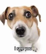 Image result for Honey I See You Looking at Me 10 Seconds
