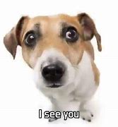 Image result for I See You Looking at Me
