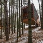 Image result for Stylish Man Cabin