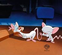 Image result for Acme Labs Pinky and the Brain