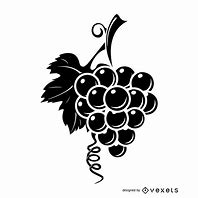 Image result for Grapes On a Vine