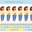 Image result for Three Stages of Pregnancy