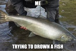 Image result for Fish Drowning Meme