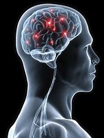 Image result for Minds Brain Photo