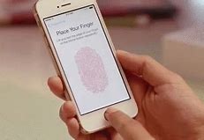 Image result for iPhone Identification 2 Camera