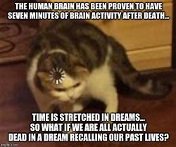 Image result for Cat Brain Loading Meme