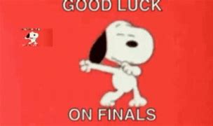 Image result for Good Luck On Finals Meme