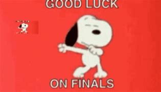 Image result for Good Luck On Finals Meme