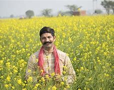 Image result for Farmer Stock Image