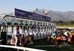 Image result for Up to the Mark Breeders' Cup