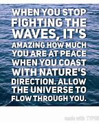 Image result for Don't Fight the Universe Quotes