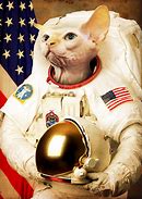 Image result for Cat in Astronaut Suit