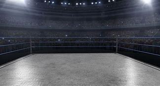 Image result for Inside an Empty Wrestling Ring