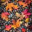 Image result for Fall iPhone 7 Lock Screen