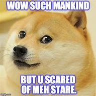 Image result for Meh Face Dog Meme