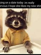 Image result for Raccoon Puns