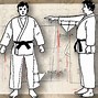 Image result for Types of Karate GI