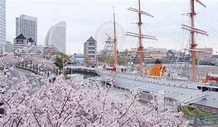 Image result for Yokohama Japan Winter