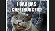 Image result for I Can Has Cheezburger Meme
