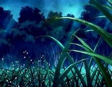 Image result for Night Grass Background