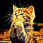 Image result for Fire Cat Background