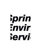 Image result for Sprint Environmental Logo