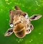 Image result for Funny Giraffe Jokes