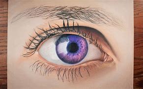 Image result for Draw Human Eye