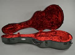 Image result for Carbon Fiber Guitar Case