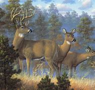 Image result for Whitetail Deer Family Figurines