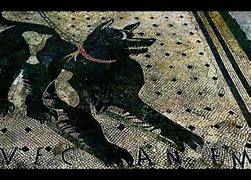 Image result for Pompeii Dog Mosaic Floor