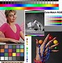 Image result for Monitor Color Chart