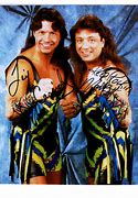 Image result for Rockers WWF