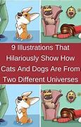 Image result for Dogs and Cats Laughing