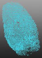 Image result for IQ Phone Fingerprint Scanner Image