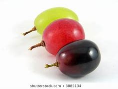 Image result for Diferent Color of Grape Berry