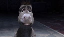 Image result for Donkey Staring Meme
