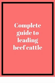 Image result for Borena Cattle Beef